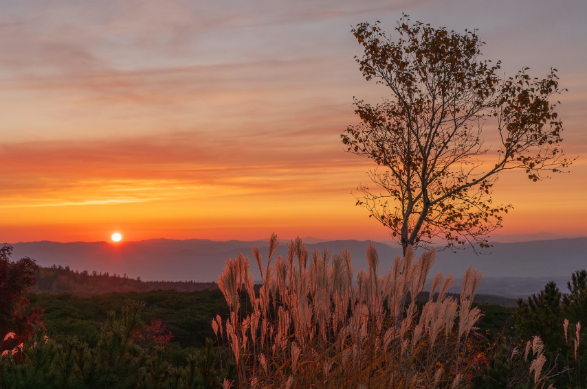 북해도 6월 날씨