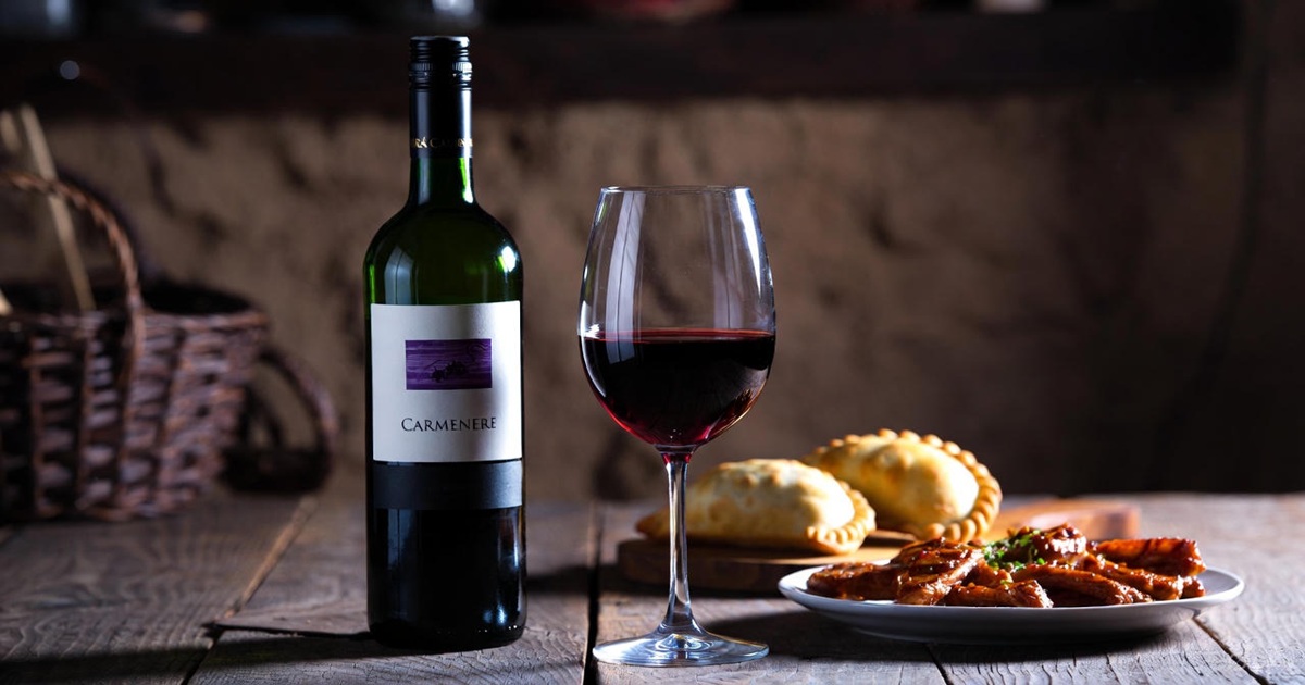 칠레 까르메네르 와인 완벽 가이드 ❘ 잊혀진 품종의 부활