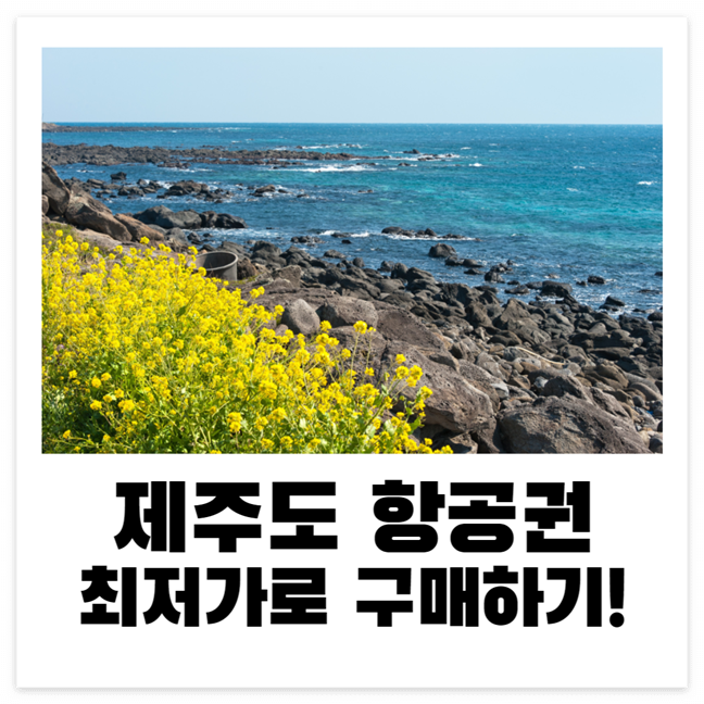 제주도 항공편 최저가
