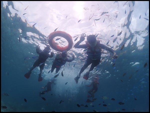 필리핀-세부-여행-호핑-물속