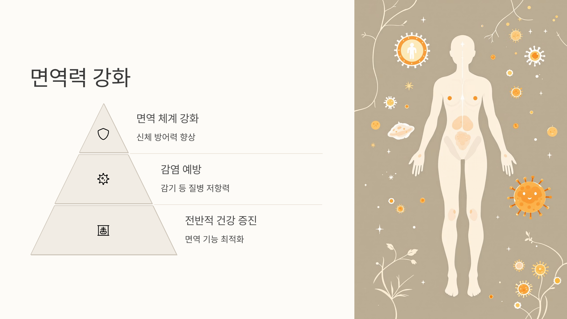 우슬뿌리 사진입니다.