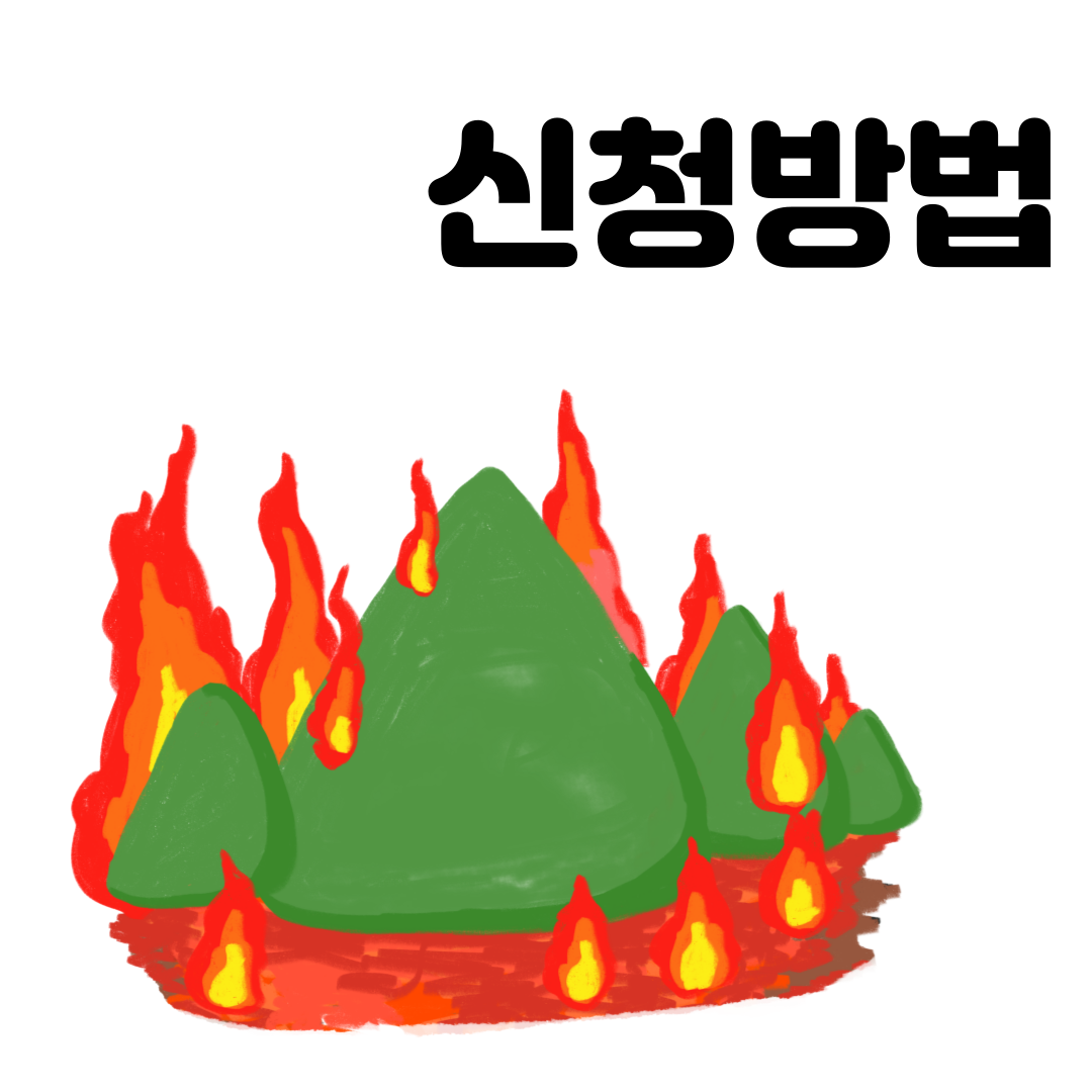 [2025 산불피해 재난지원금] 신청방법부터 대상자 기준까지 한눈에 정리 