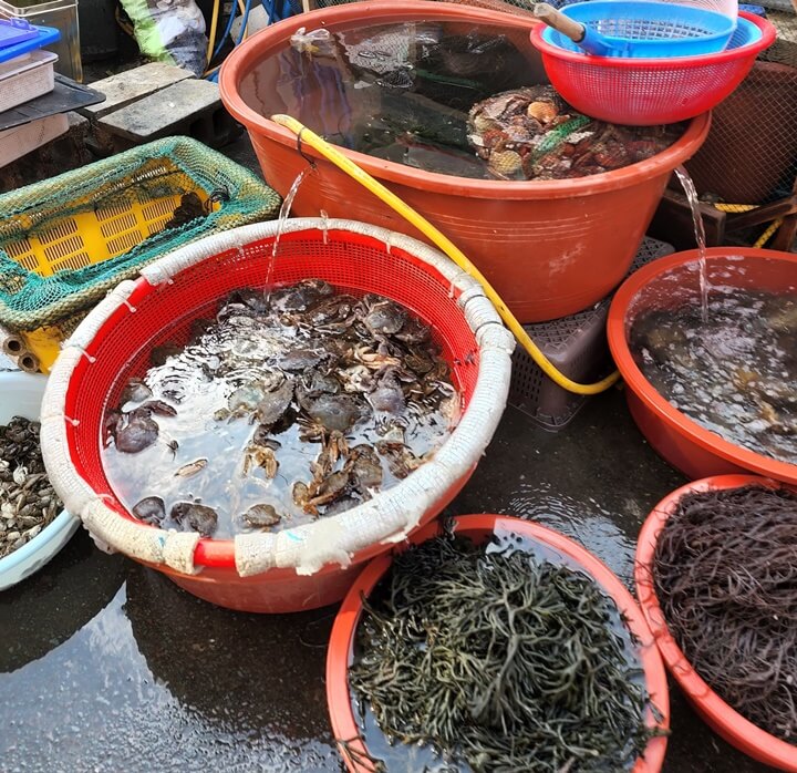 참게와 톳