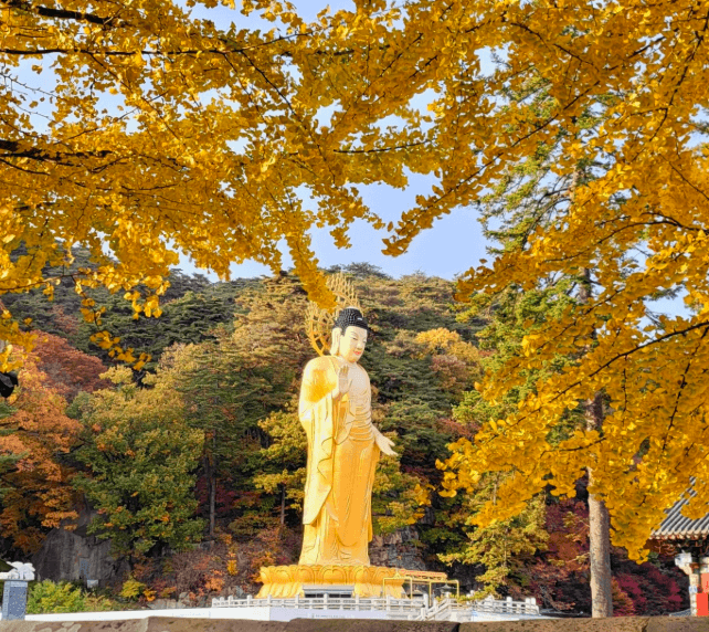 법주사