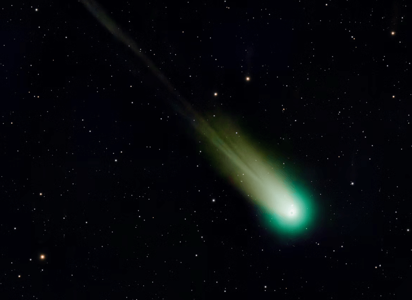 실손보험 청구 전산화