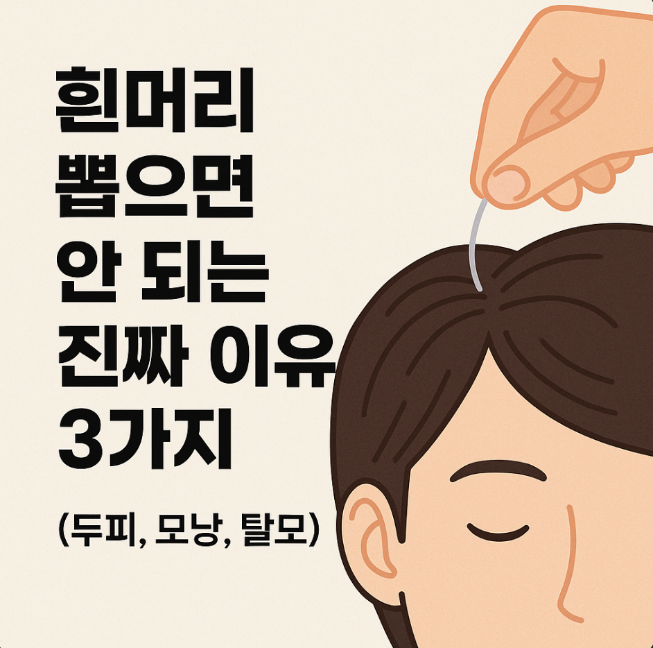 흰머리 뽑으면 안 되는 진짜 이유 3가지 (두피, 모낭, 탈모)