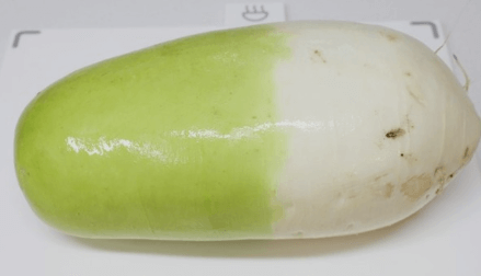 김장 담그기 좋은 배추 좋은 무 고르는방법