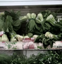 청경채 효능 부작용 고르는법 칼로리