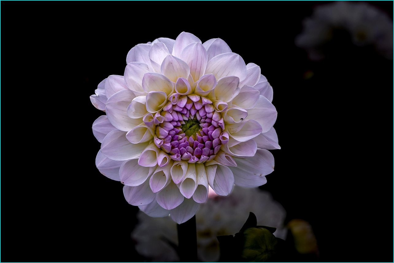 희망저축계좌2 신청조건