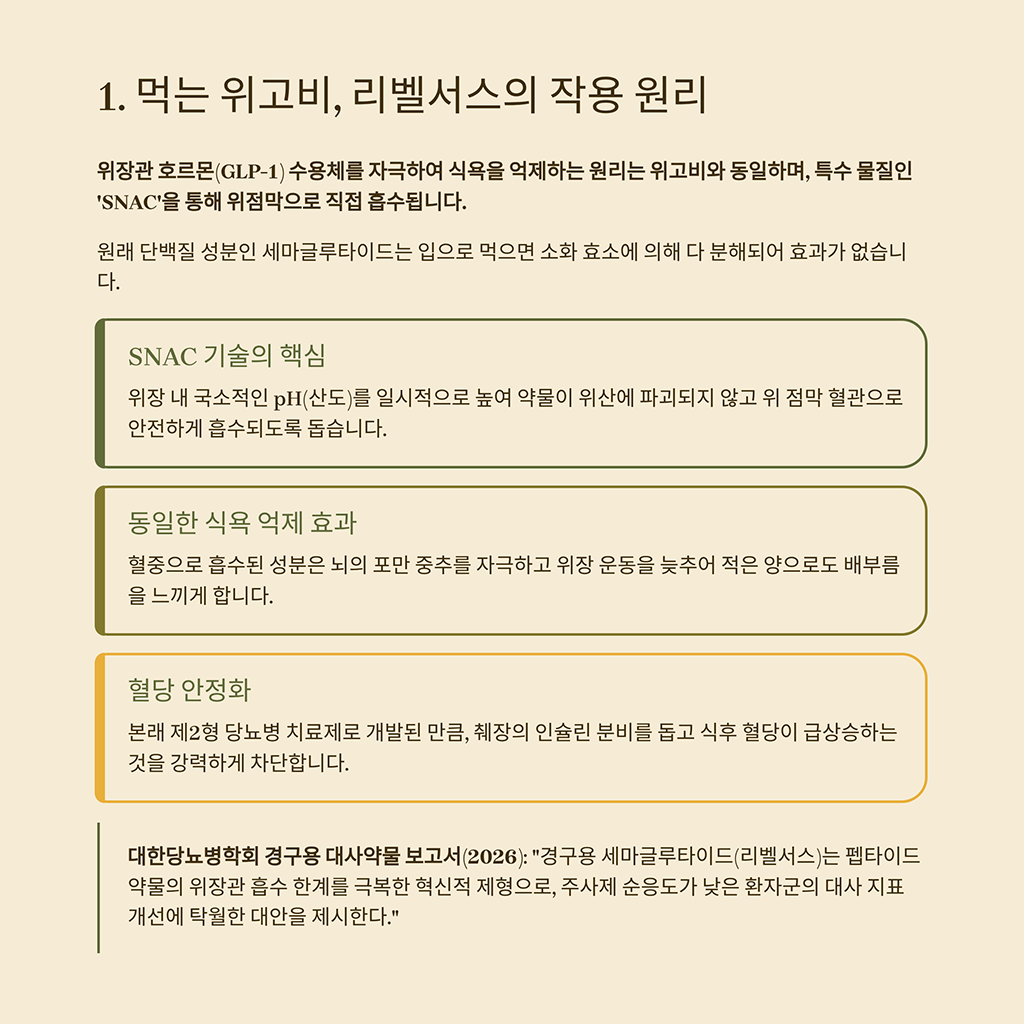 먹는 위고비, 리벨서스의 작용 원리