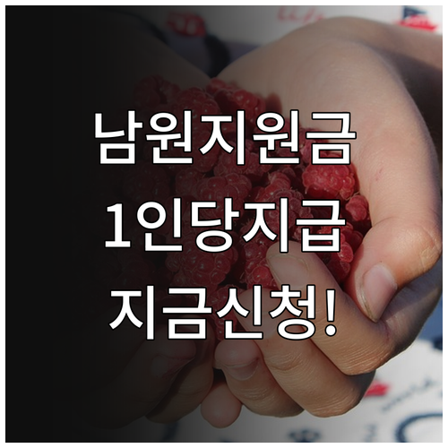 남원시 민생지원금 개인별 지급 및 신..