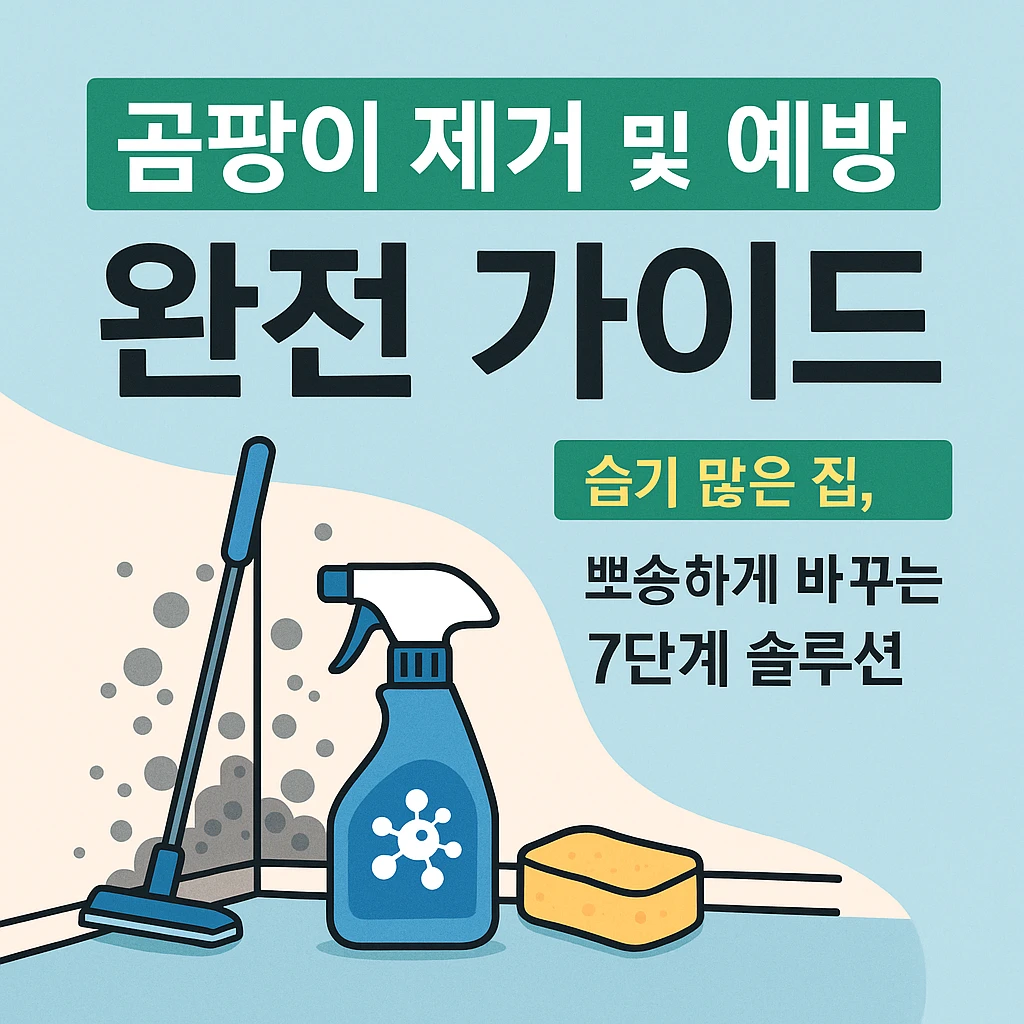 곰팡이 제거 및 예방 완전 가이드
