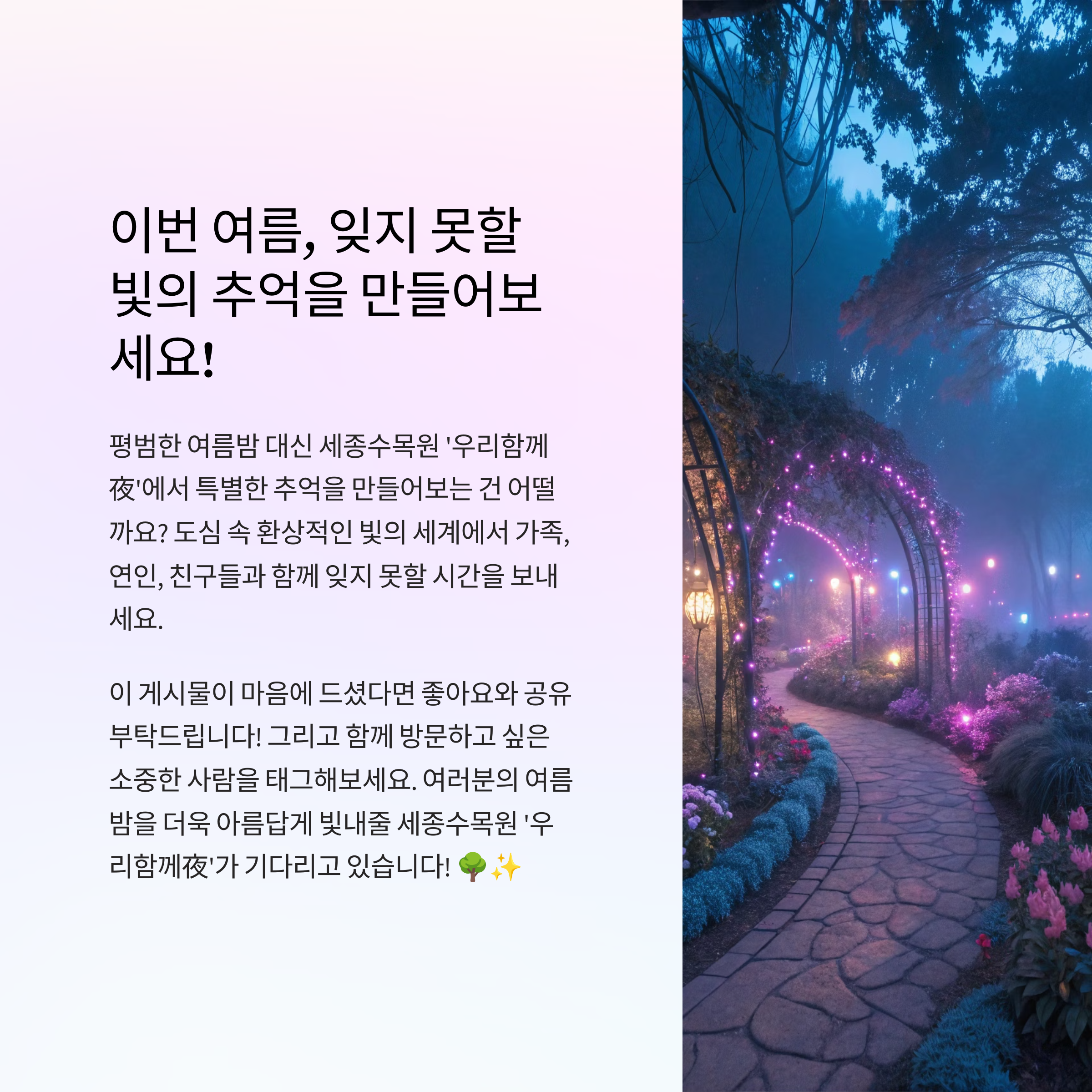 빛의 추억을 만들어보세요
