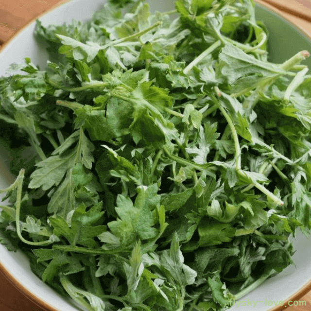 여성 질환에 좋은 쑥