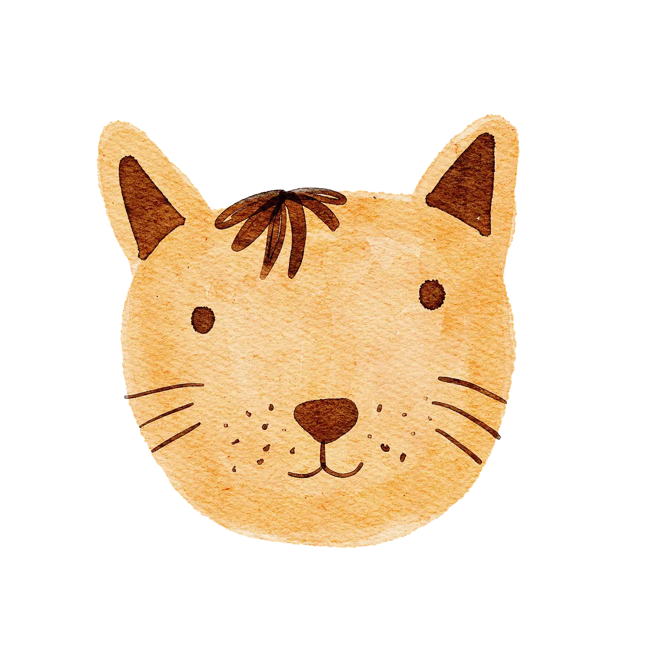 한국야생고양이삵의 먹이 경쟁 상호작용 — 너구리·족제비·담비와의 생태