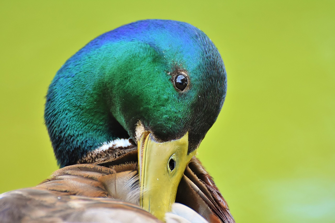 중도상환수수료 계산법