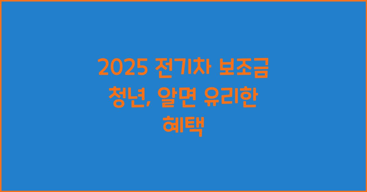 2025 전기차 보조금 청년