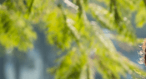 고지혈증증상케어명상