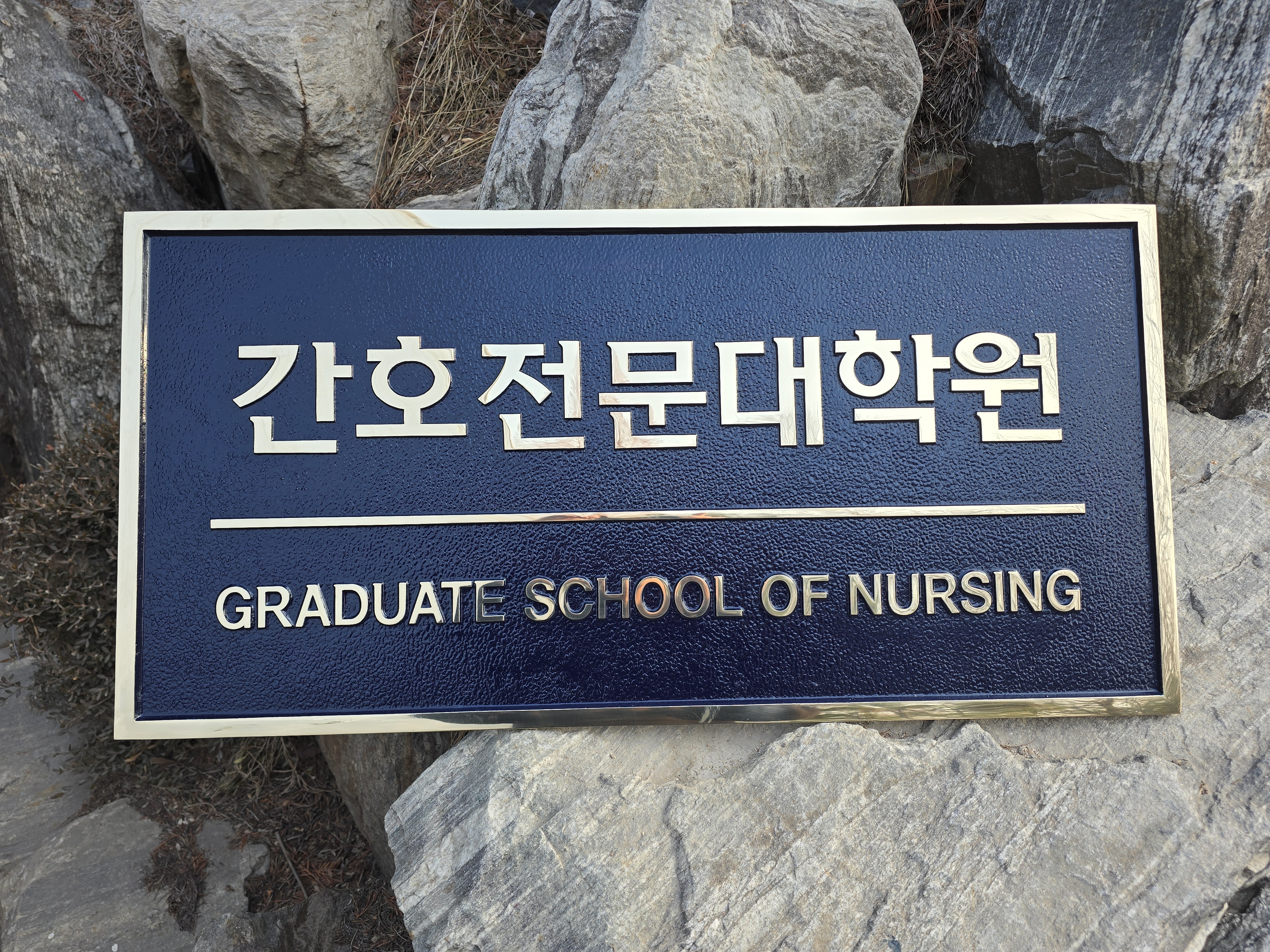 간호전문대학원 신규 제작 제품