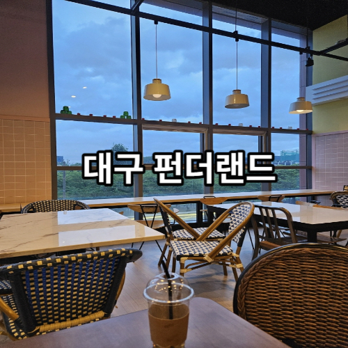 대구 펀더랜드