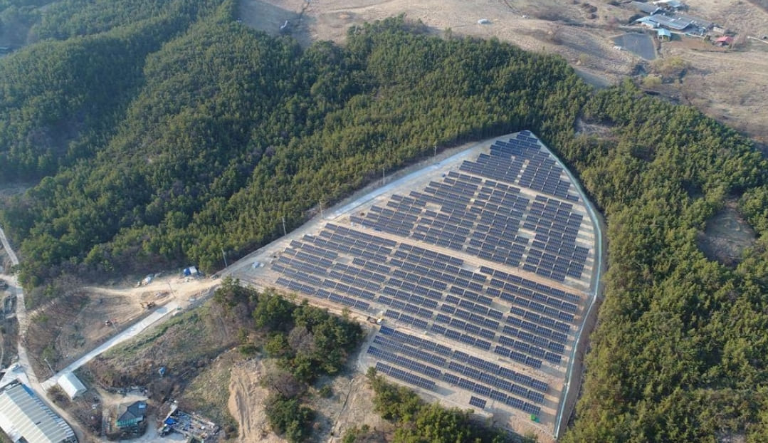 문재인 5년간 &lsquo;태양광 벌목&rsquo; 자그마치 307만그루...폭우 피해 결정적 원인 제공