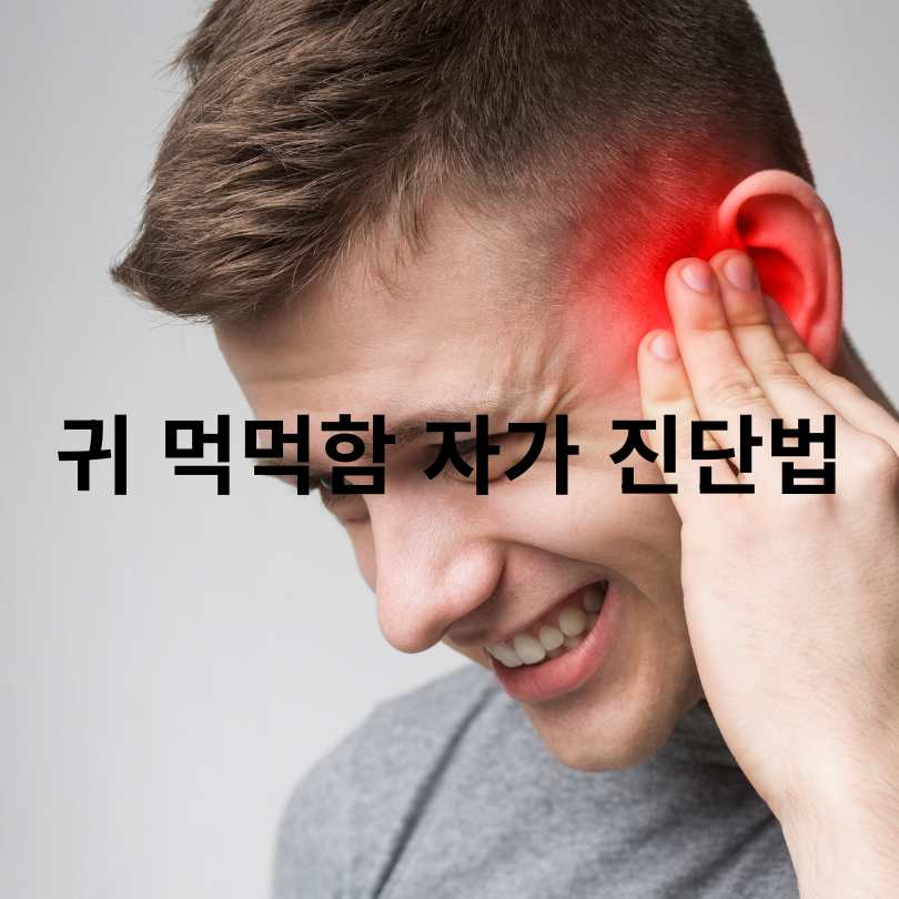 귀 먹먹함 원인과 해결 방법 완벽 정리