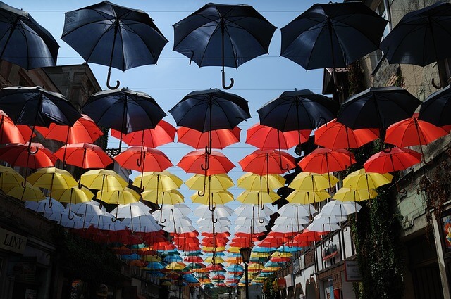 화담숲 예약 및 취소방법&amp;#44; 모노레일 코스추천&amp;#44; 단풍코스&amp;#44; 예매팁 및 이용꿀팁