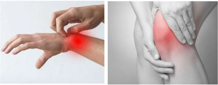 호관원-프리미엄-골드-특징