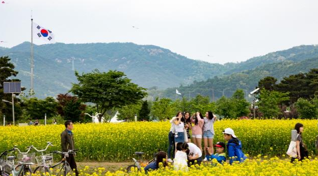 구리 유채꽃축제