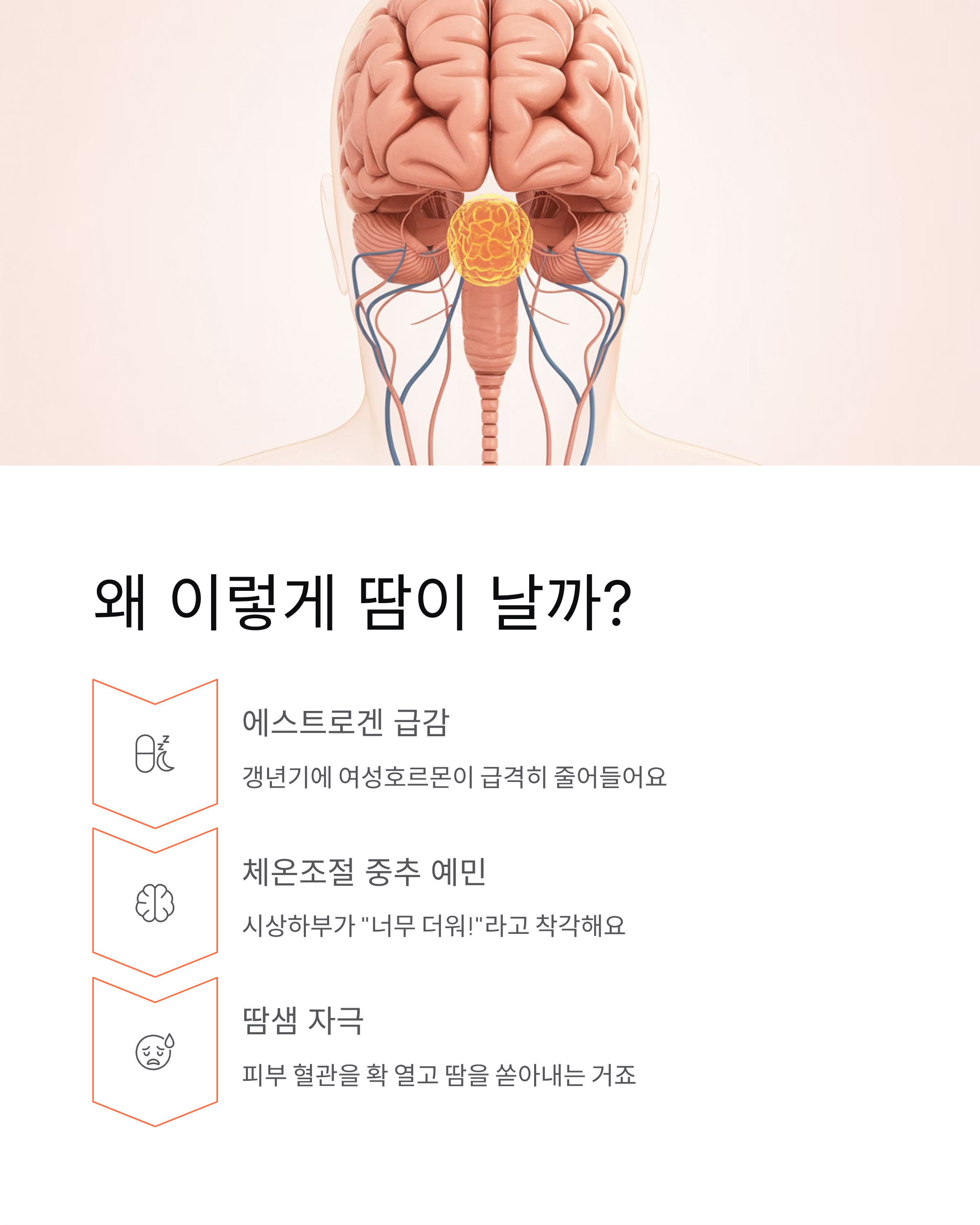 갱년기 땀 도대체 왜 이렇게 많이 날까?(원인,증상,완화,치료법)