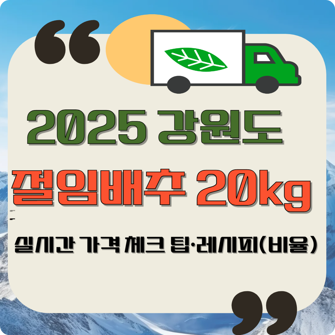 2025 강원도 절임배추 20kg 실시간 가격 체크 팁&middot;레시피(비율)이미지