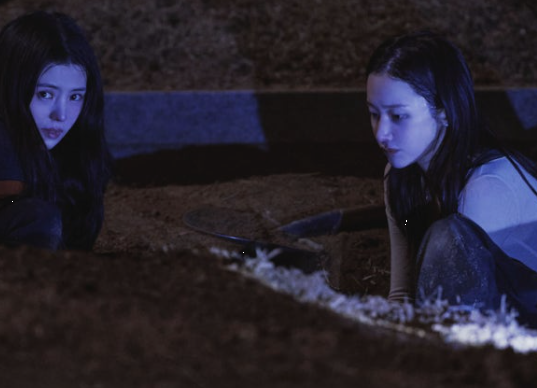 프로젝트 Y 넷플릭스 공개