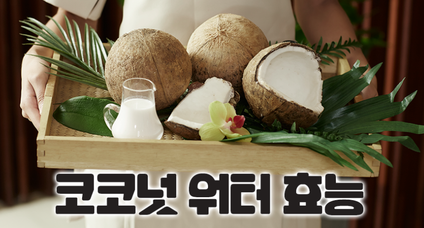 코코넛 워터의 건강 효과