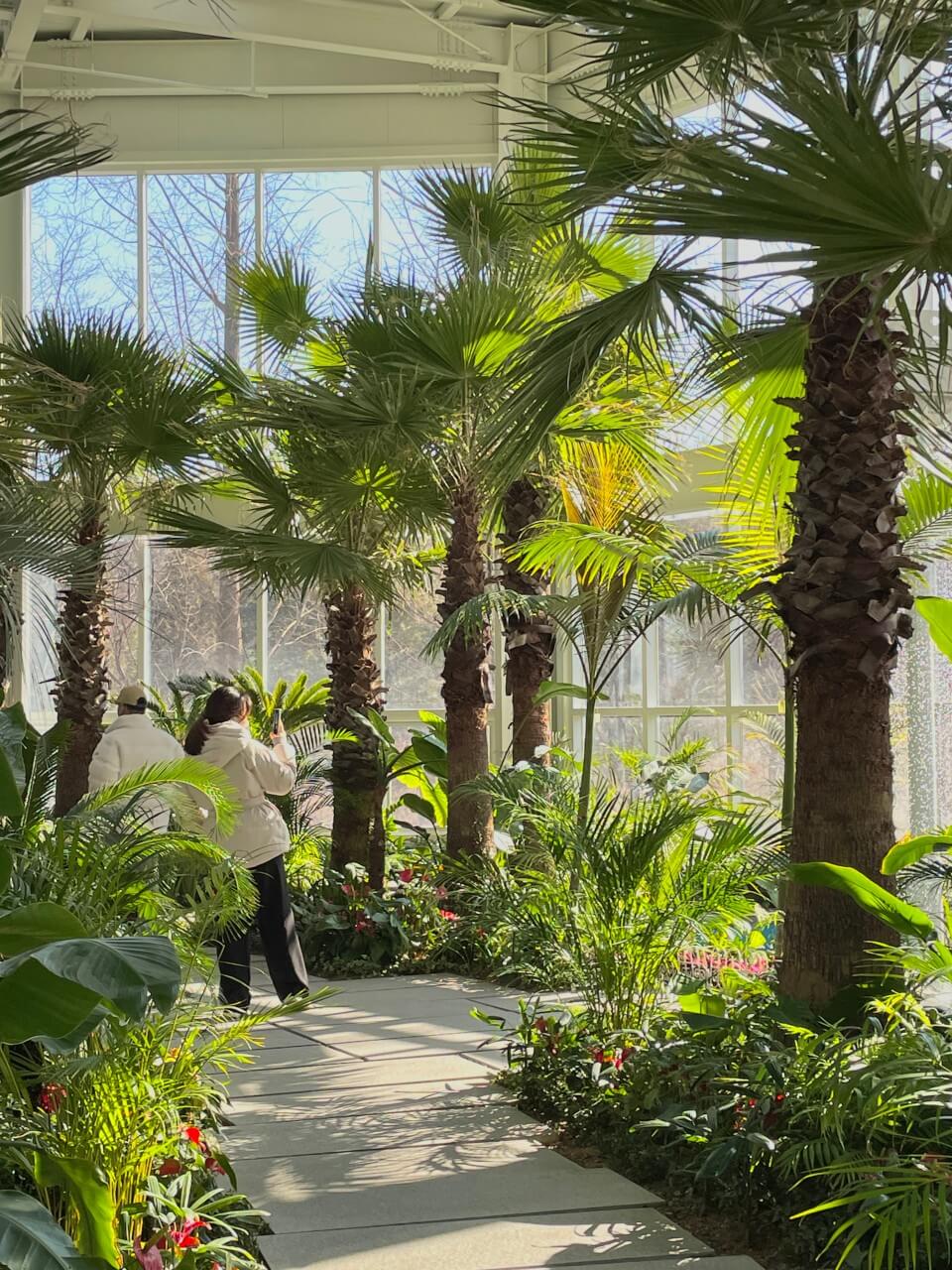 오늘N 소문난 그곳N 파주 식물원 감성 카페 문지리535 파주여행 오늘N2499회