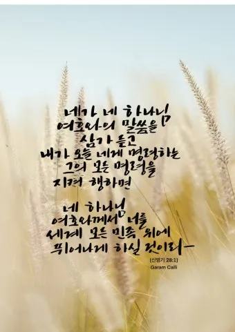 신명기 28장 축복 저주 강해_23