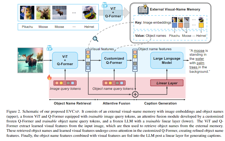 Figure 2. Schematic of our proposed EVCAP. It consists of an external visual&ndash;name memory with image embeddings and object names
(upper), a frozen ViT and Q-Former equipped with trainable image query tokens, an attentive fusion module developed by a customized
frozen Q-Former and trainable object name query tokens, and a frozen LLM with a trainable linear layer (lower). The ViT and Q-
Former extract learned visual features from the input image, which are then used to retrieve object names from the external memory.
These retrieved object names and learned visual features undergo cross-attention in the customized Q-Former, creating refined object name
features. Finally, the object name features combined with visual features are fed into the LLM post a linear layer for generating captions