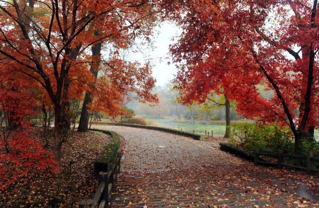 광릉숲 정원벨트 전면 개방