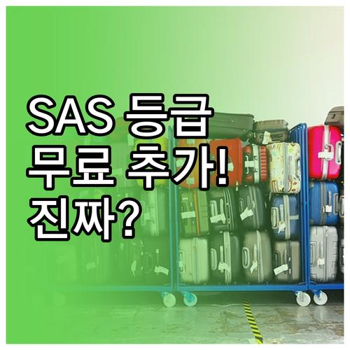 SAS 실버 골드 회원 등급별 추가 ..