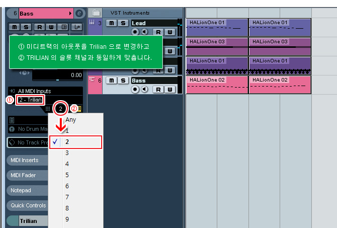 VSTi 베이스 bass 틀리리안 trilian 사용 방법