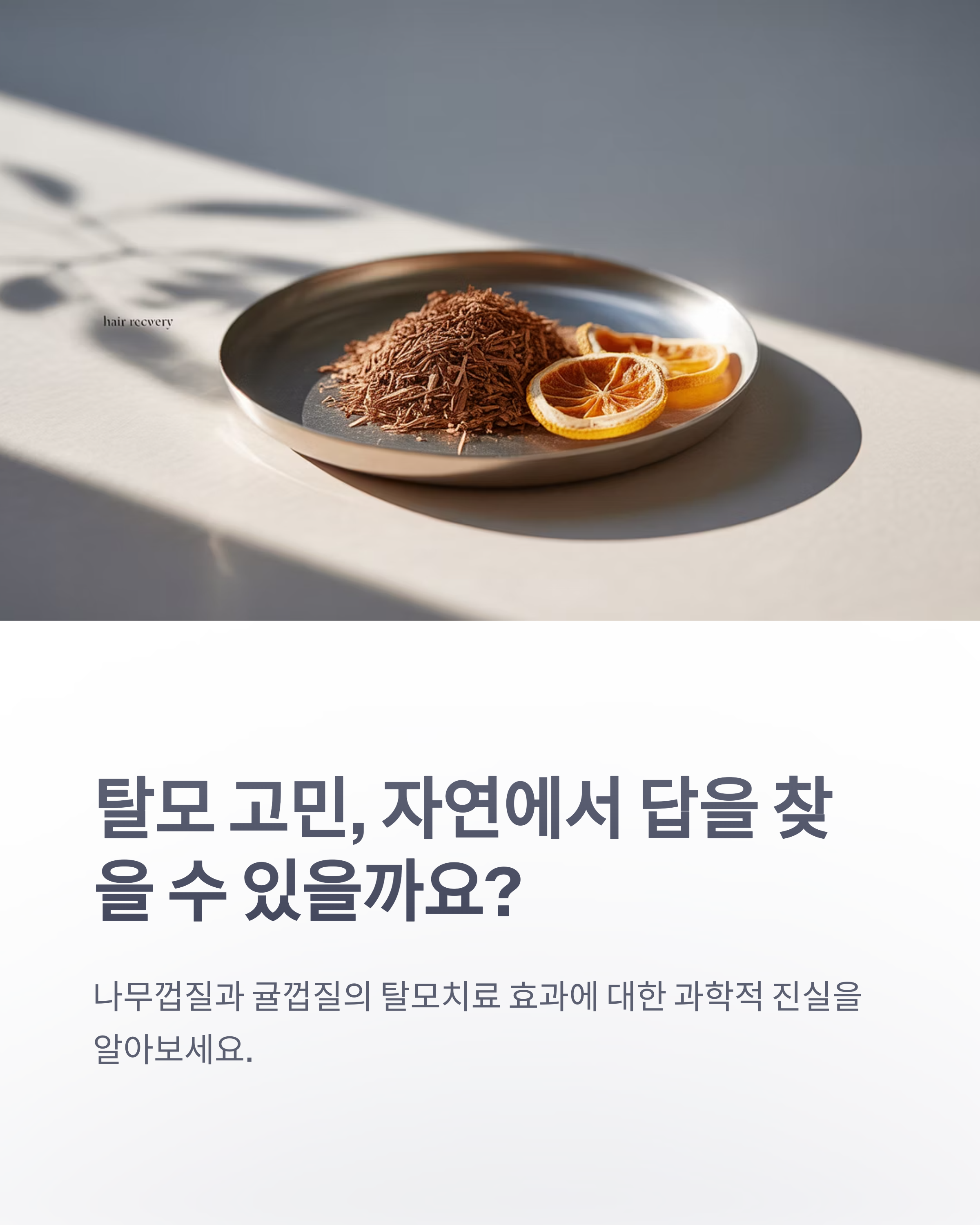 참조-나무껍질과-귤껍질,-탈모치료-효과-1