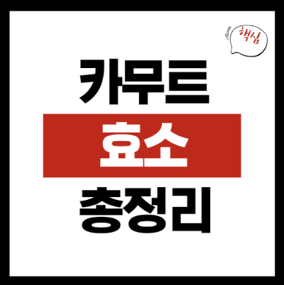 카무트 효소