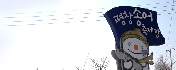 2025/2026 휘닉스파크 평창 스키장 시즌패스 완벽 가이드