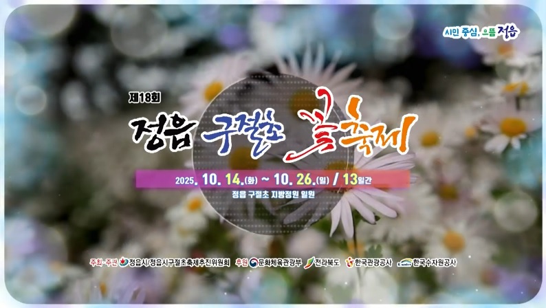 정읍 구절초꽃축제