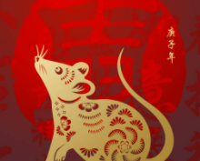 위를보고있는-황금쥐