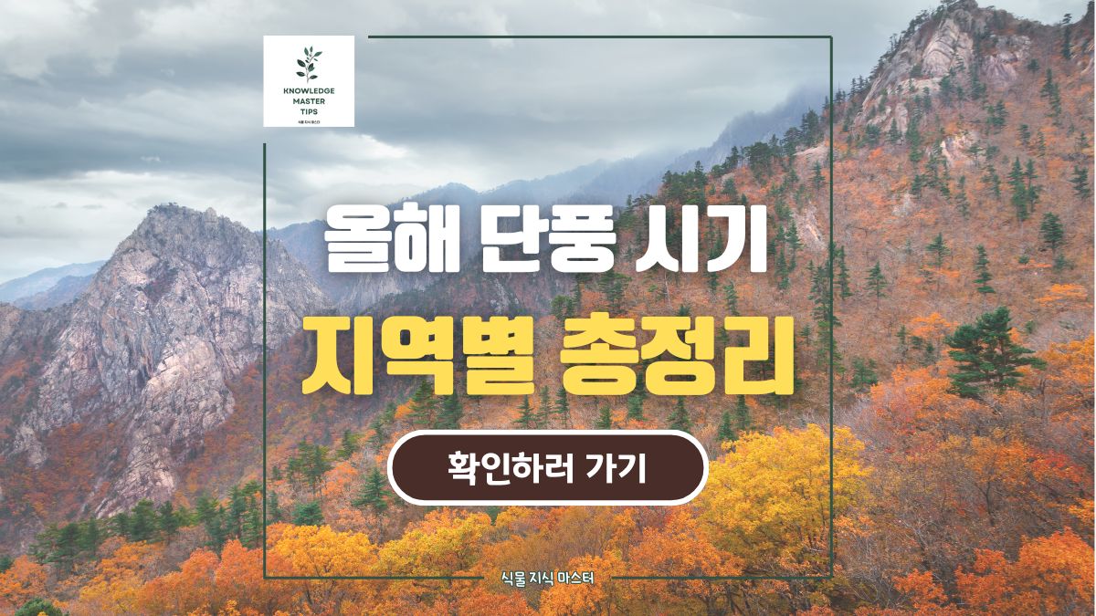 올해 단풍 시기 지역별 총정리