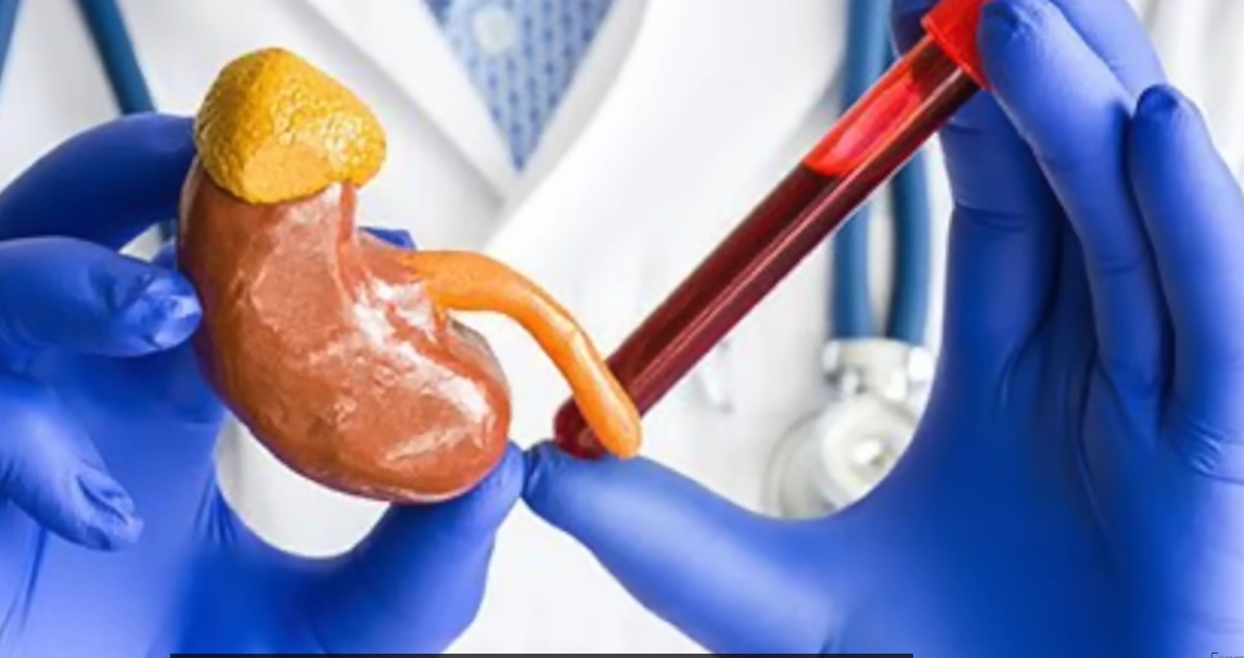 크레아티닌 정상수치