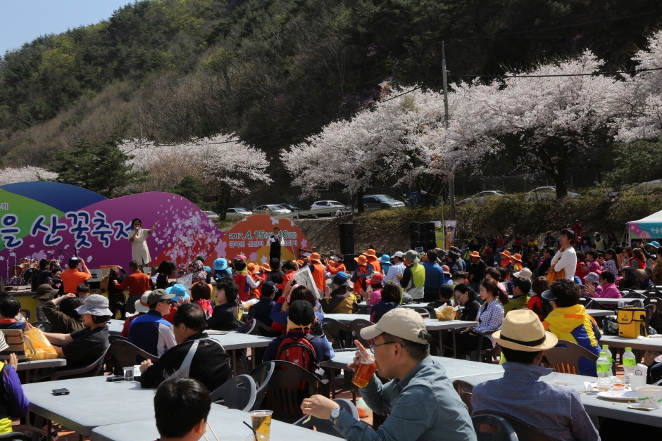 2024 금산 보곡산골 산벚꽃축제 기본정보와 프로그램 소개