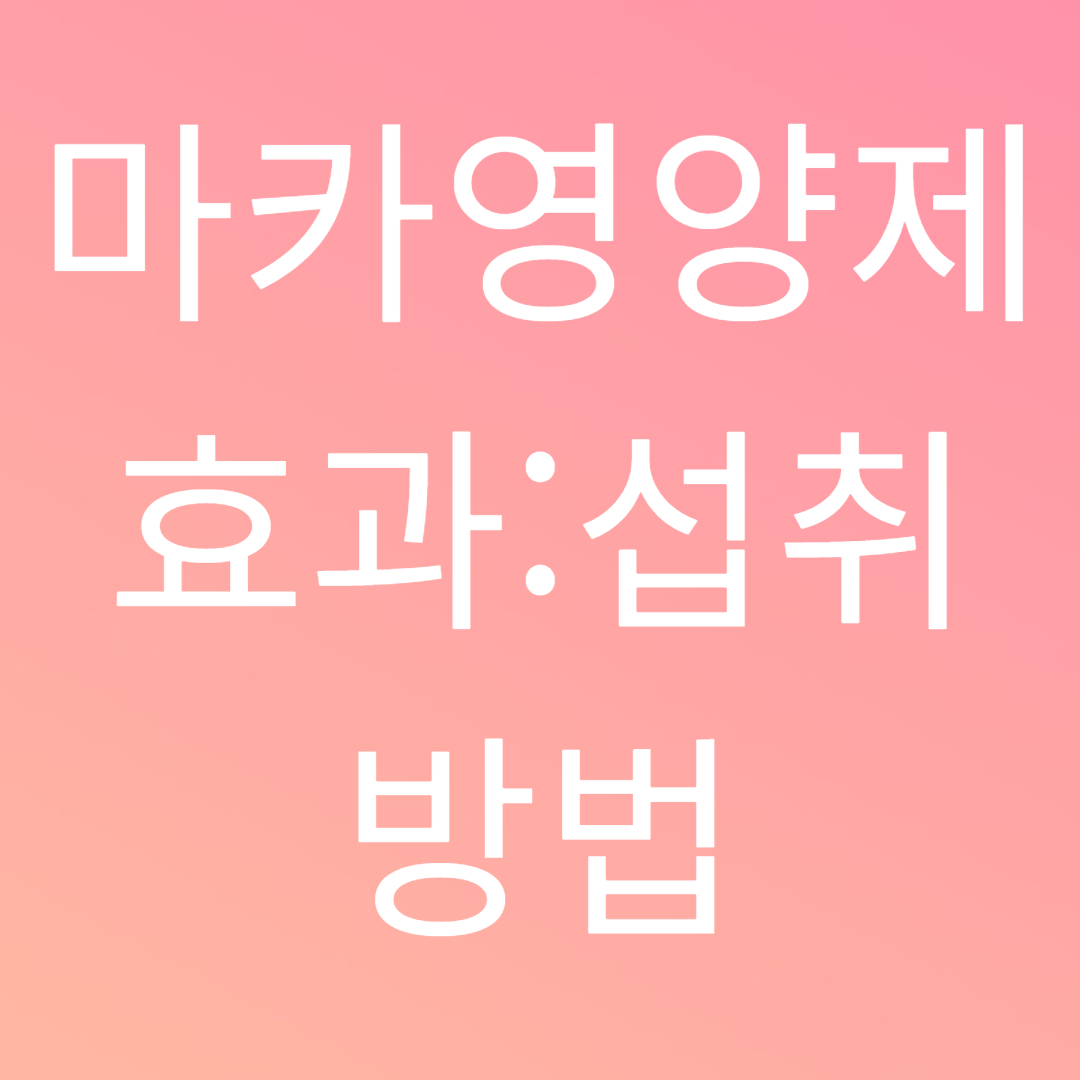 마카영양제 효과섭취 방법