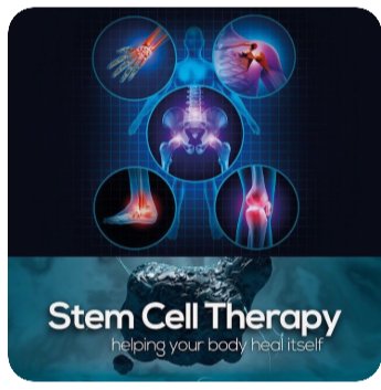 줄기세포치료란?