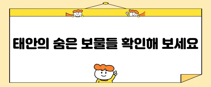 태안에서 꼭 방문해야 할 명소 10곳